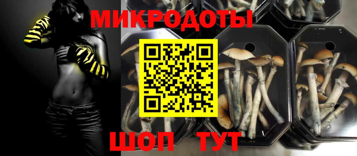 Галлюциногенные грибы Magic Shrooms Кострома