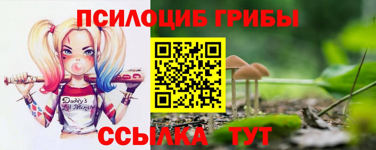 Кострома  Псилоцибиновые грибы Magic Shrooms  Вход с VPN 